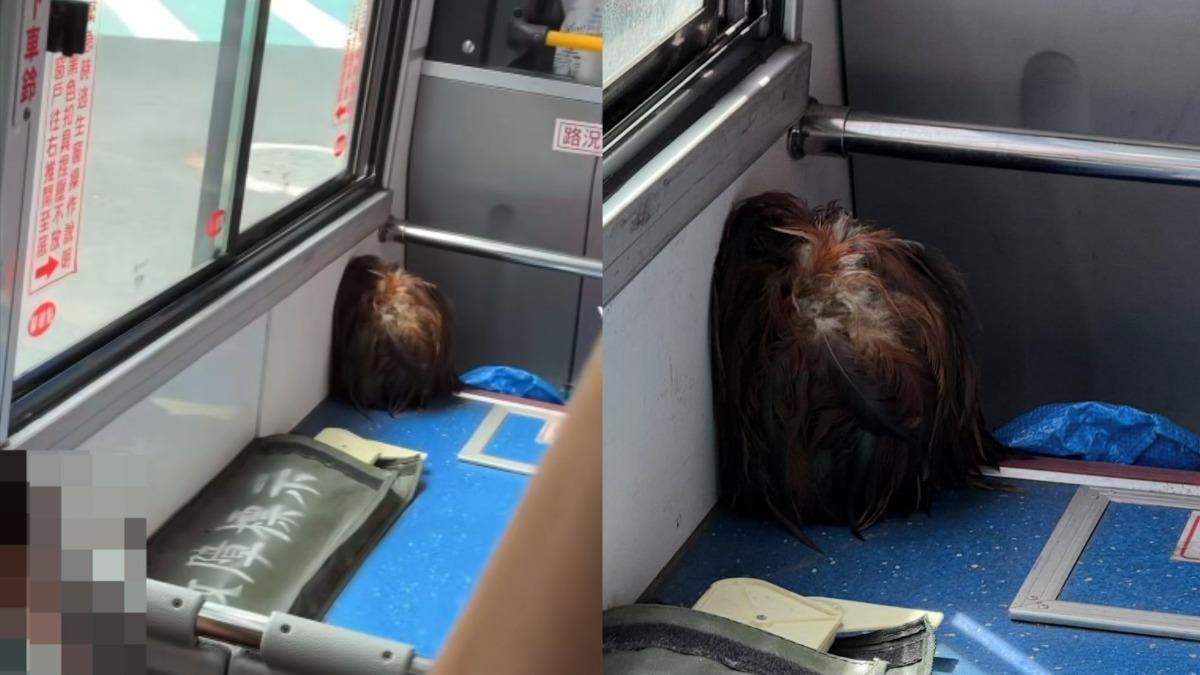 搭公車突見「詭異人頭」！他目睹怕爆　網一看懂了