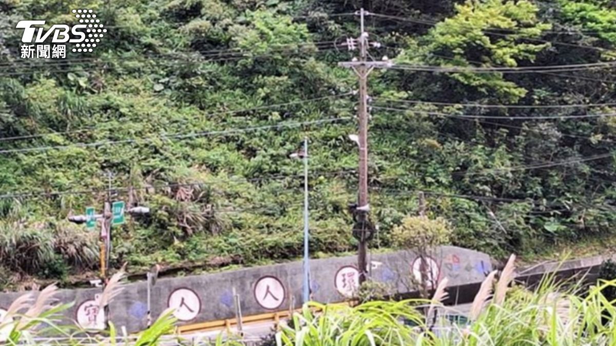蕭姓男子擁新北區猴硐車站旁的大片山林土地將被拍賣。（圖／TVBS）