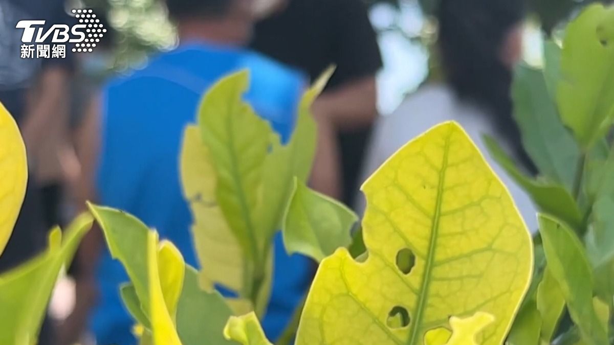 雲林女學生遭霸凌轉學 加害者記過3個月後「上台領獎」家長怒了。(圖/TVBS)