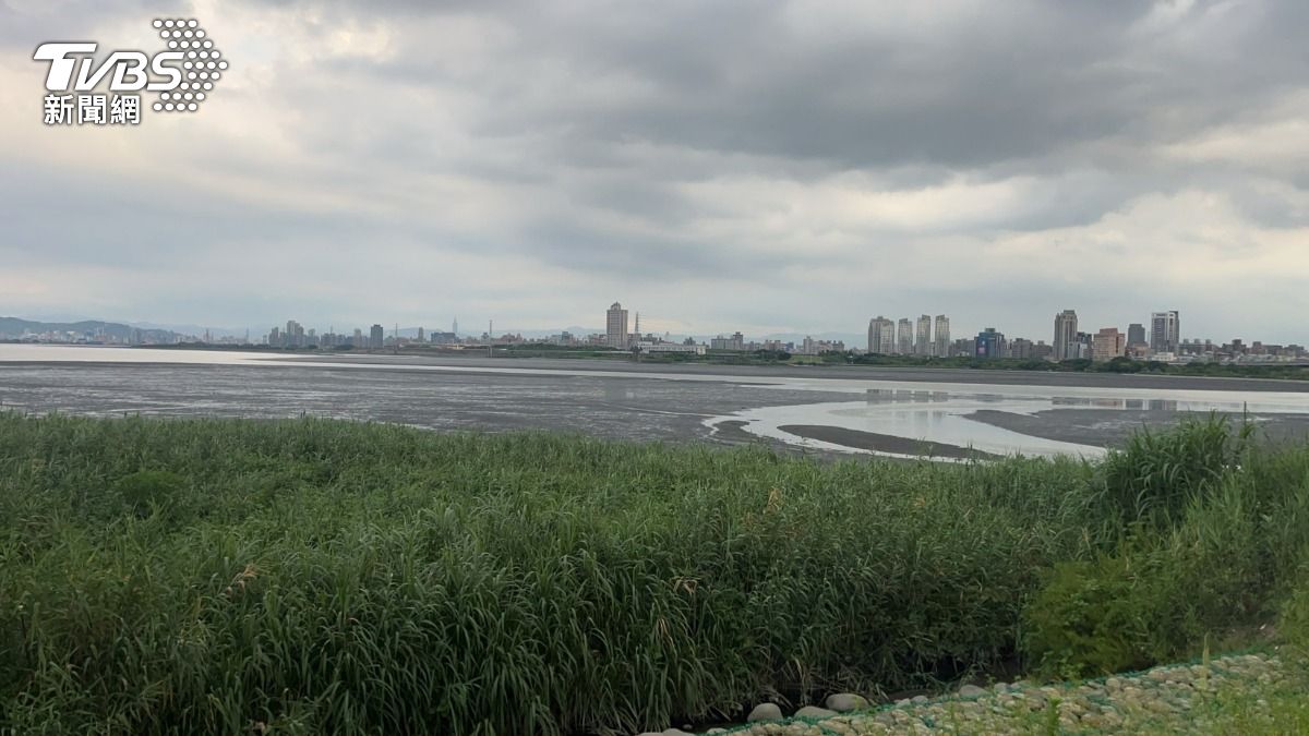 嚇死人!移工五股溼地抓螃蟹 爛泥堆中驚見男屍