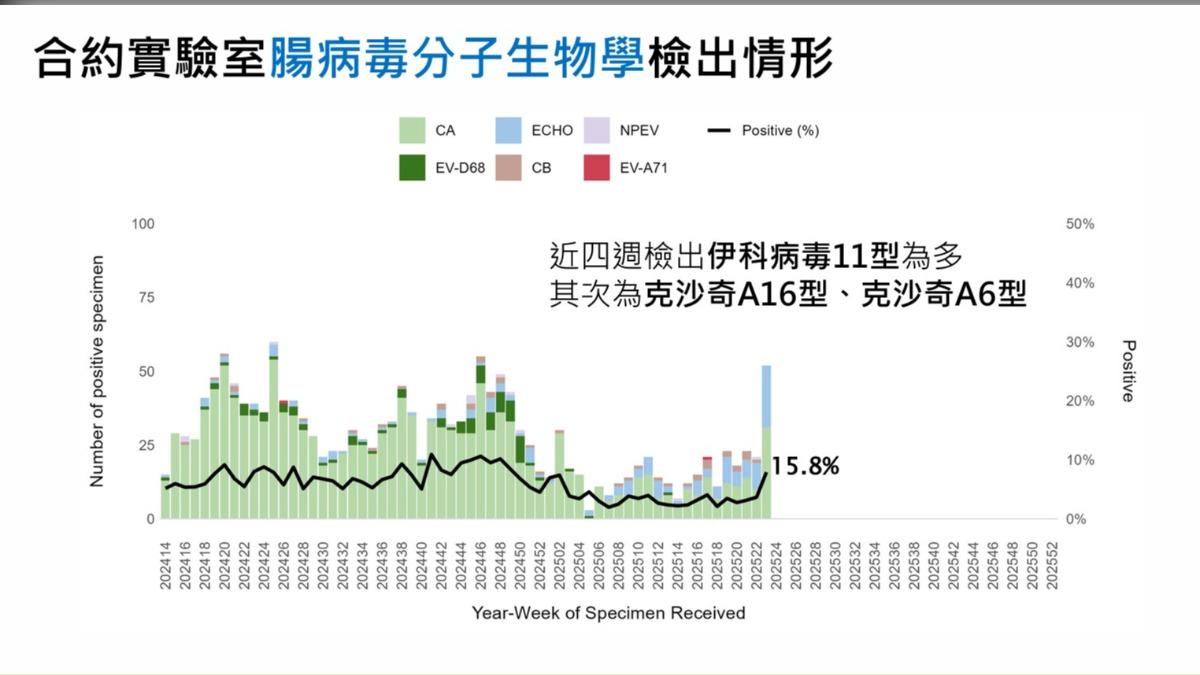 伊科病毒11型目前為腸病毒大宗。(圖/疾管署提供)