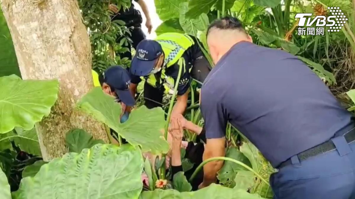 蔡姓奶奶途步迷失在5公里外的荒地,被發現時嚴重脫水。(圖/TVBS)