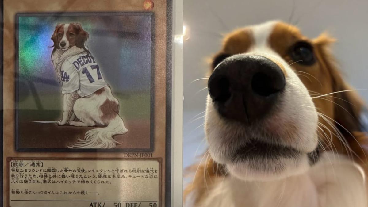 大谷翔平開箱愛犬遊戲王卡 眼尖球迷見一細節驚呼:太熱血