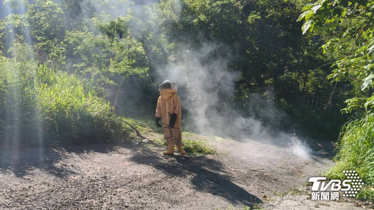 高雄嬤整理果園遭虎頭群蜂攻擊 「螫10多針」加護病房急救