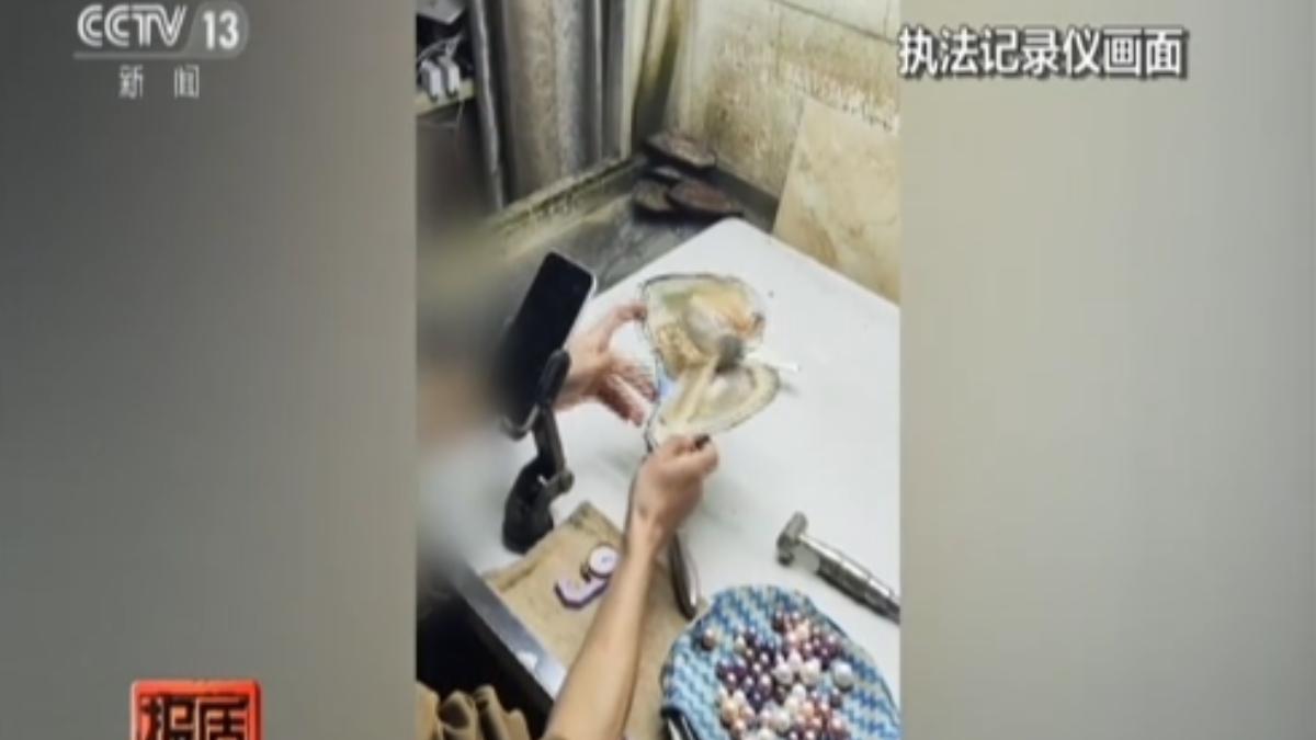 警方發現,直播主會在鏡頭死角偷塞珍珠,佯稱是真正的珍珠,吸引消費者下單。(圖/大陸央視)