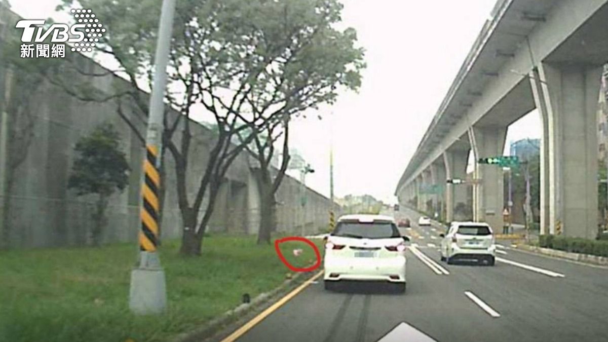 桃園人注意！路上做「六大行為」環保局3倍開罰　違者慘噴6千