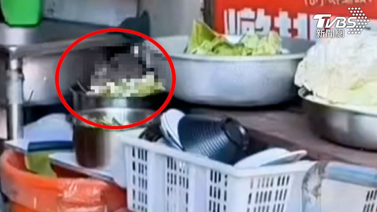 民眾拍下 台南一家臭豆腐店出現「米奇」偷嚐蔬菜，但經過查證，原來是隔壁肉圓店 （圖／翻攝 社會事新聞影音）