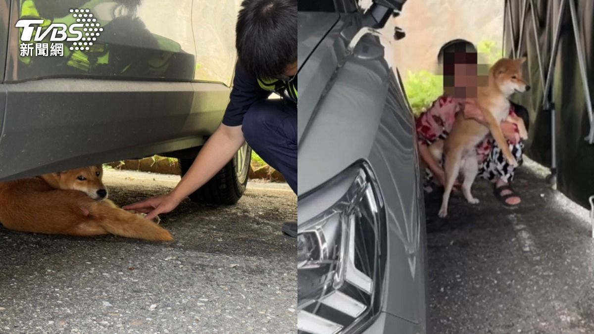 婦人以為柴犬被抱走,警方協助下,在車底找到愛犬。(圖/TVBS)