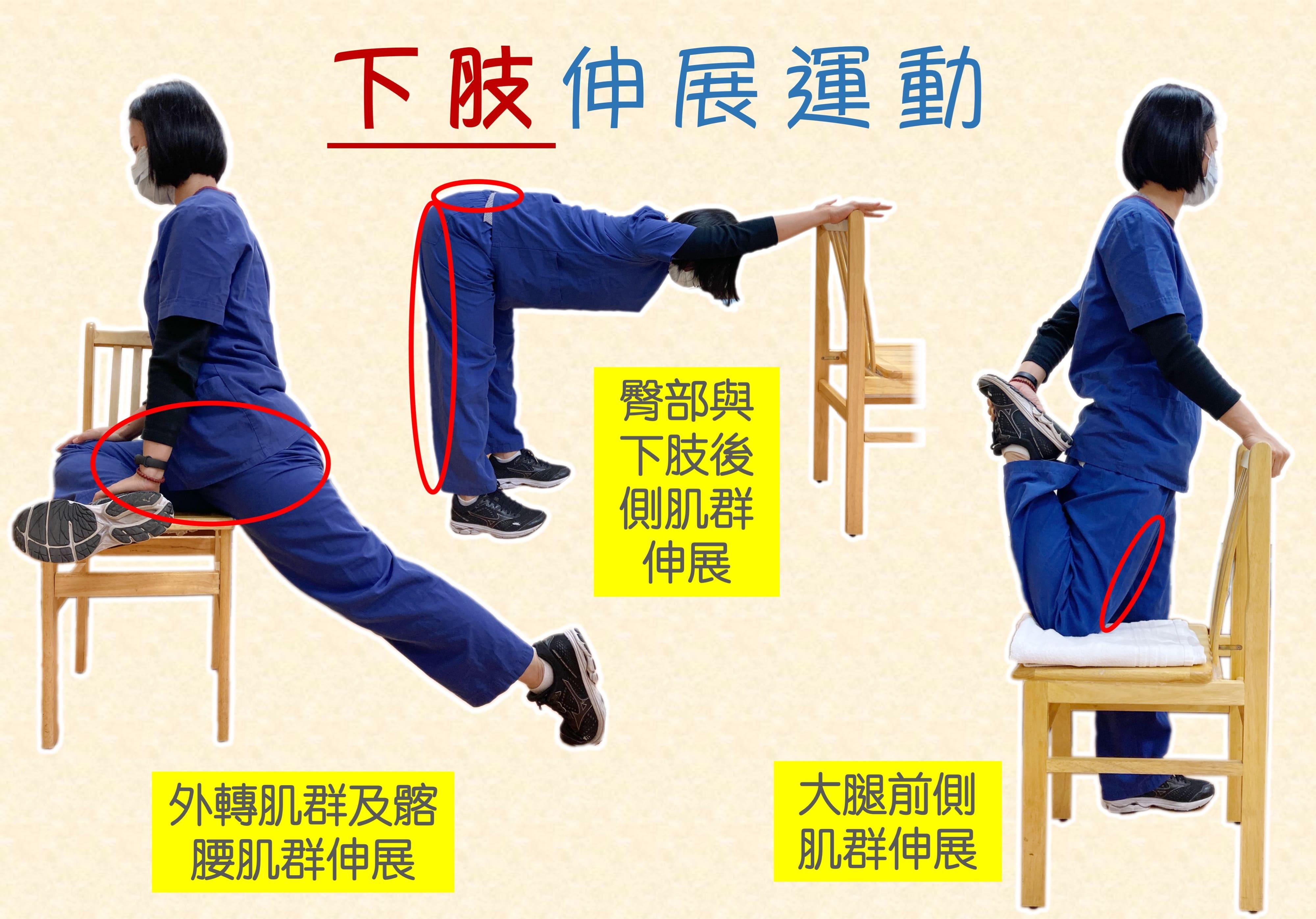 久坐危害-伸展運動-健康-久坐風險