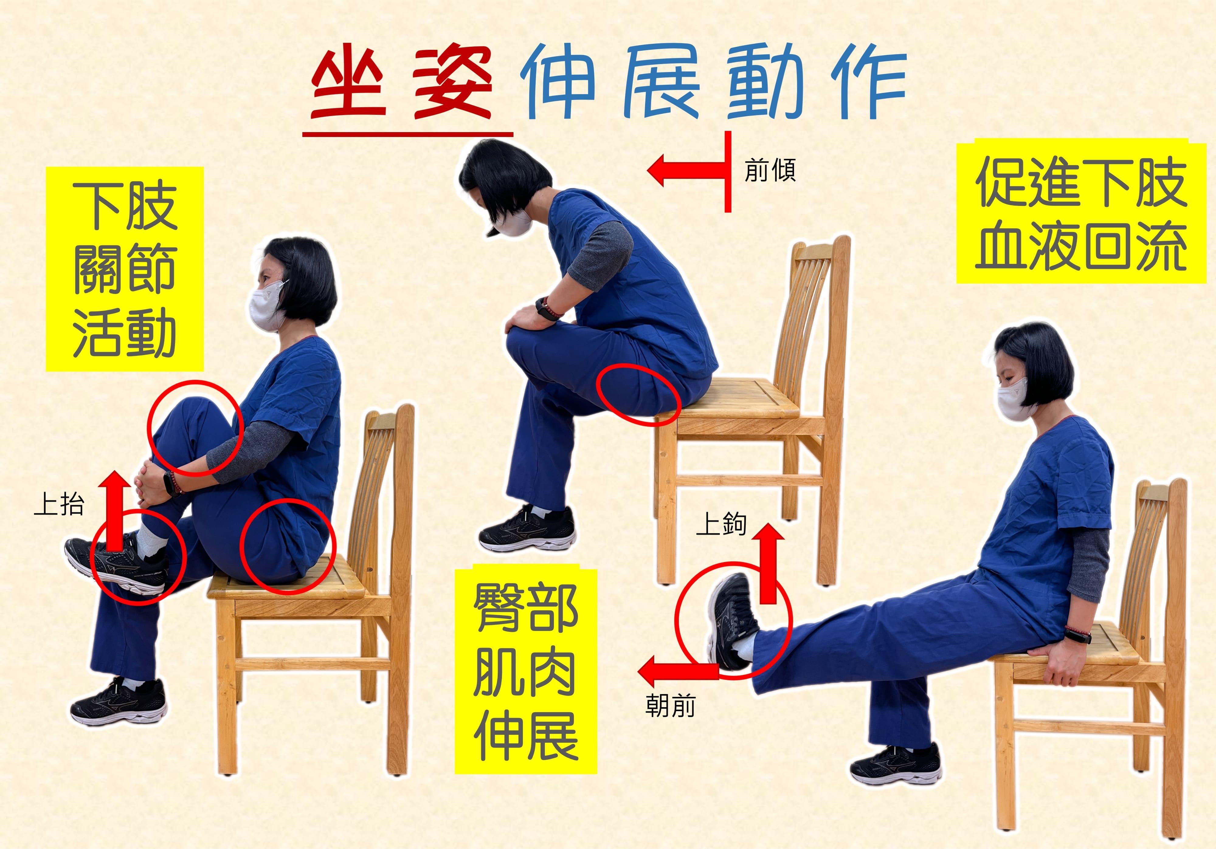 久坐危害-伸展運動-健康-久坐風險
