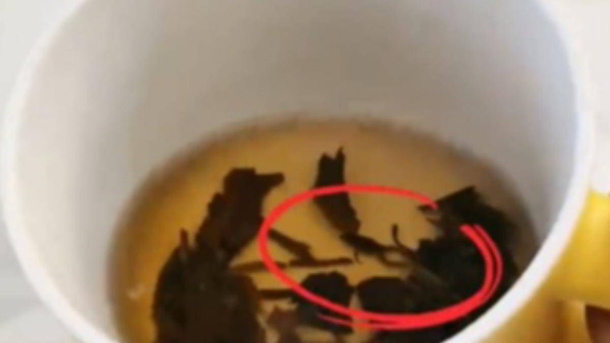 以為是茶葉!知名手搖飲「喝出整隻青蛙」 陸女崩潰:太噁心