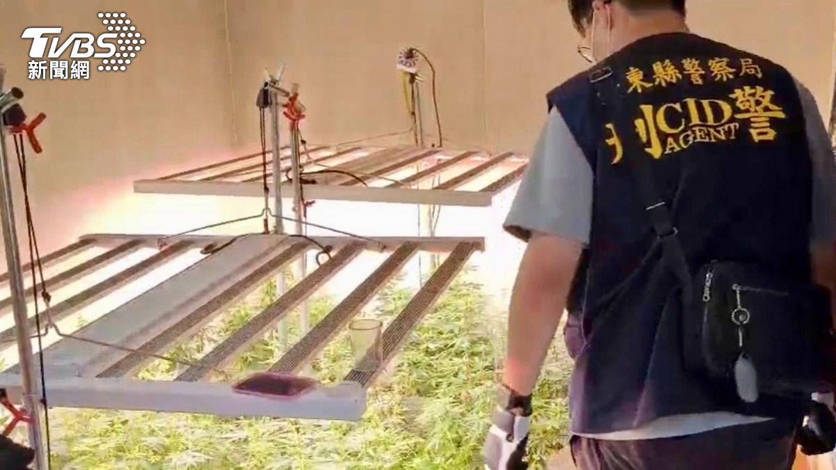 綠島浮潛業者變毒梟！貨櫃屋種大麻　6人遭起訴