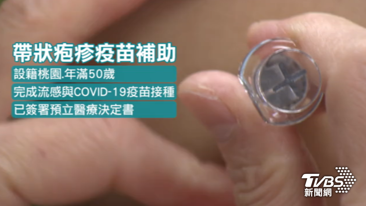 桃園市宣布放寬皮蛇公費疫苗補助條件。(圖/TVBS)
