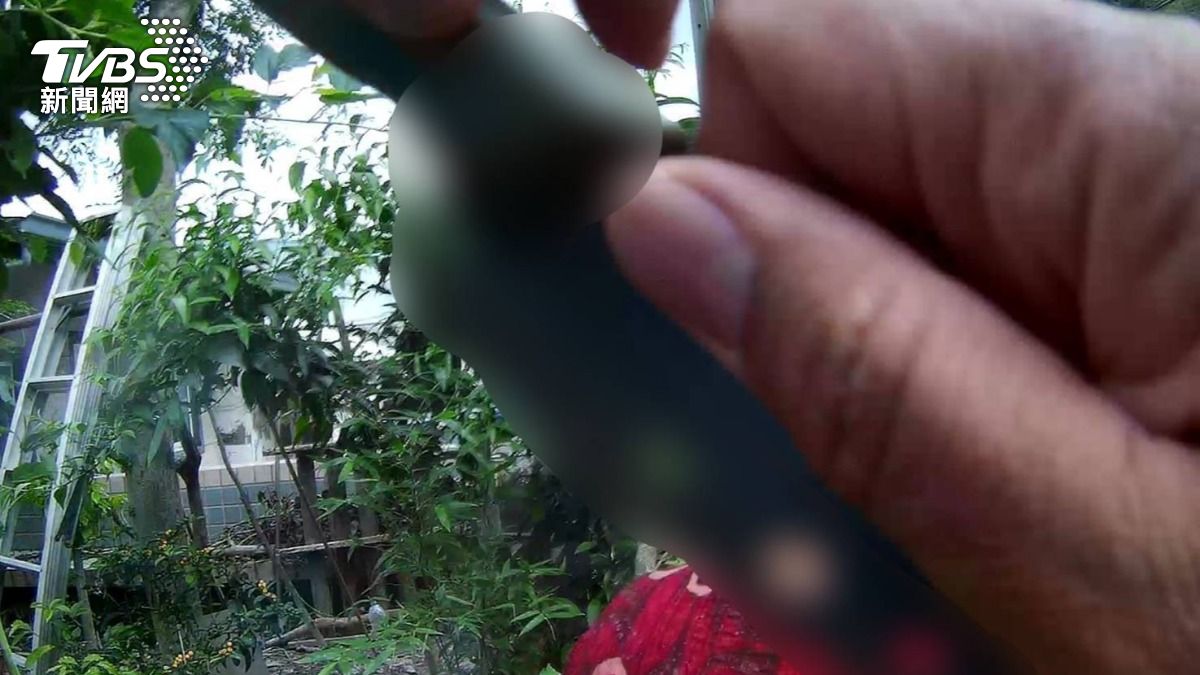 婦人持刀揮舞，警方到場先卸下心防再迅速奪刀。（圖／TVBS）