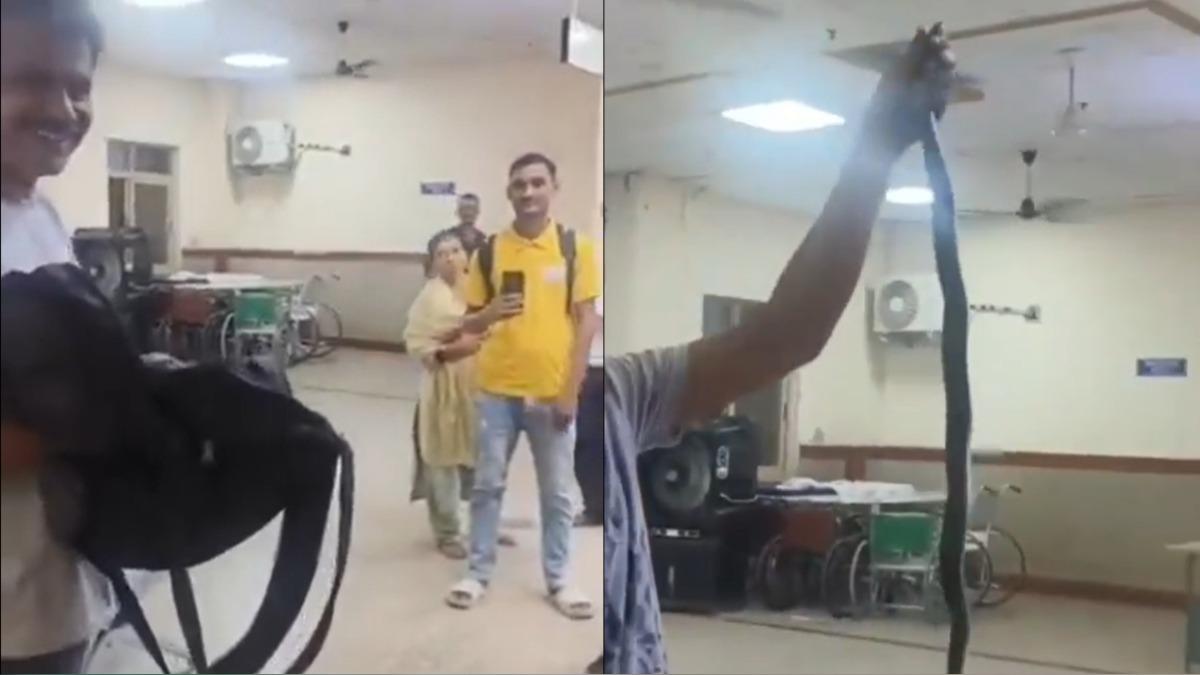 遭毒蛇咬傷!印度男「帶兇手」就醫 包包拉出蛇全場醫護嚇傻