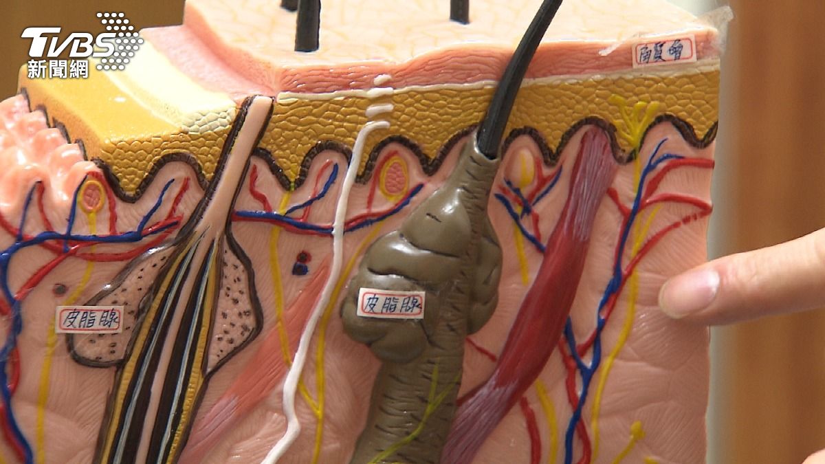 體味突變恐藏病!醫曝狐臭.老人味真相!(圖/TVBS)