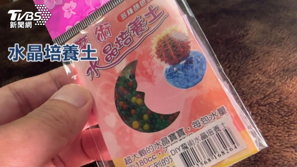 水晶寶寶。 (圖/TVBS)