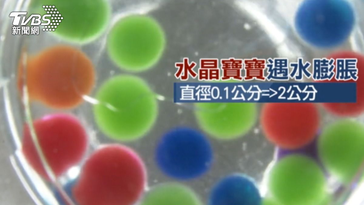 水晶寶寶。 (圖/TVBS)
