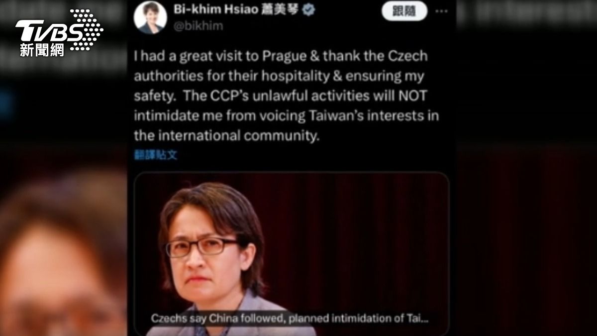 訪歐遭陸鎖定 蕭美琴:不會嚇阻我為台發聲。(圖/翻攝自蕭美琴X@bikhim)