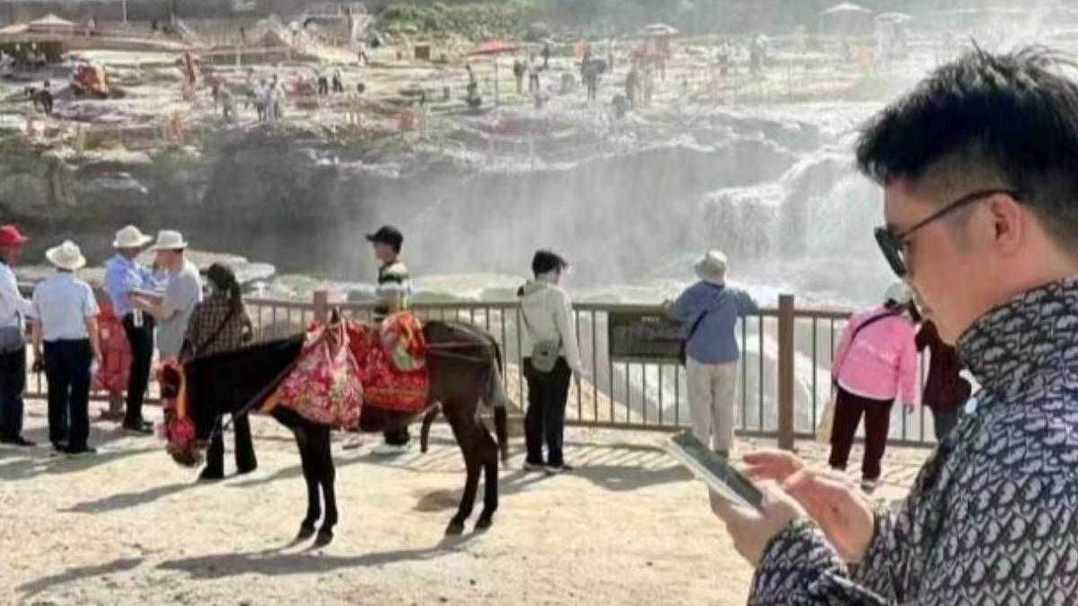 驢子JJ外露,被遊客投訴。(圖/翻攝微博)