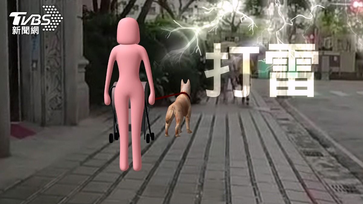 雷雨中狗狗暴衝!婦人被拉倒昏迷 警:飼主仍需負責任(圖/TVBS)