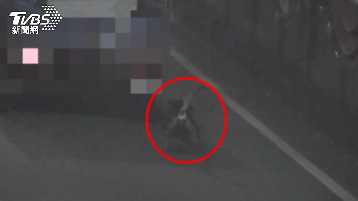 犬隻一開始奔跑緊跟貨車。(圖/TVBS)
