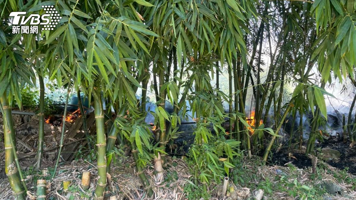 快訊/北市士林道路旁樹林起火 撲滅驚見焦屍一具