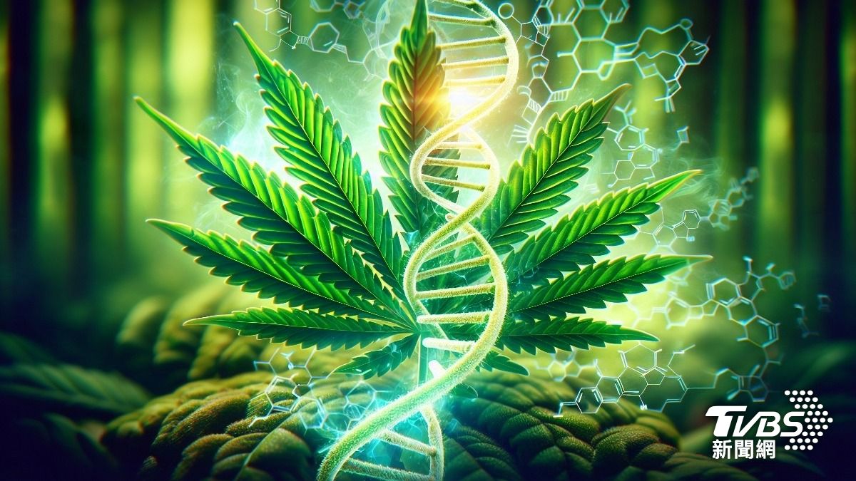 美式邏輯?母餵3幼童大麻 被捕稱:避免日後長大吸毒
