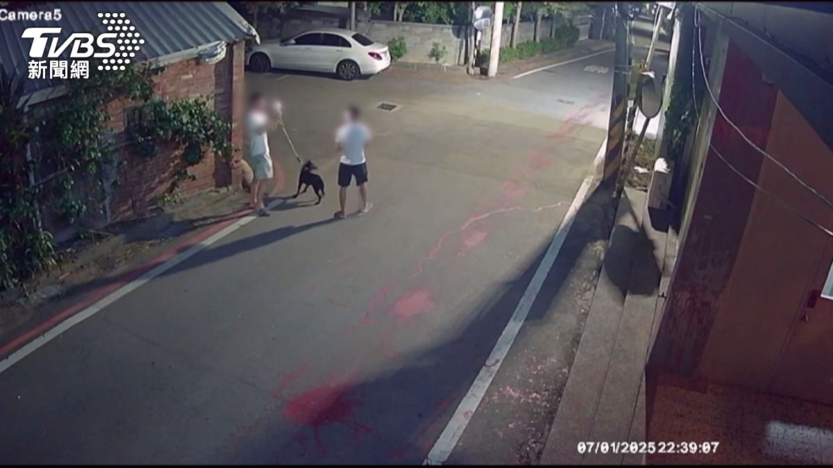 債務糾紛惹禍!茶行遭潑漆 2男帶龜挑釁(圖/民眾提供)