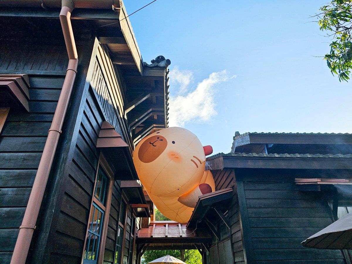 肥嘟嘟的呆萌水豚君夾在２棟老屋之間，超級可愛、超欠拍。（圖／菓子の幸福週記提供）