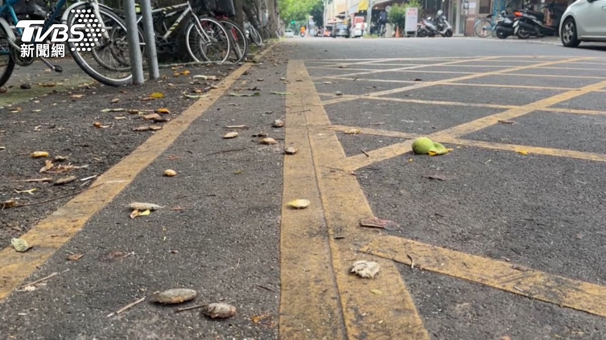 雲科大路旁芒果樹釀意外 高空落下「炸裂」學生機車