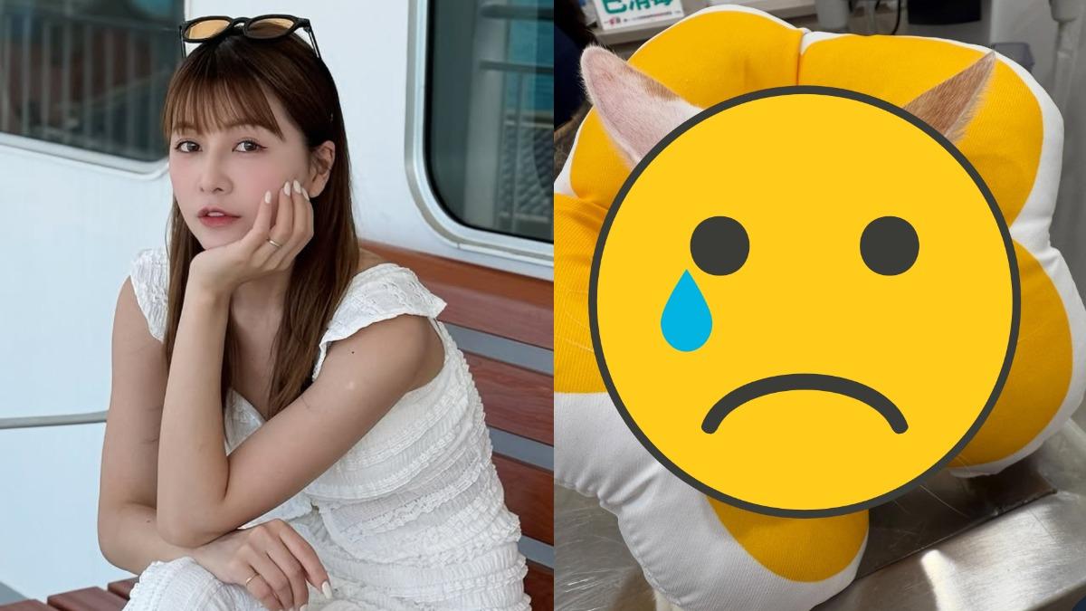 八點檔女星大崩潰!愛貓遭噴毒汁「抓玻璃求救」嚇哭:腦袋一片空白