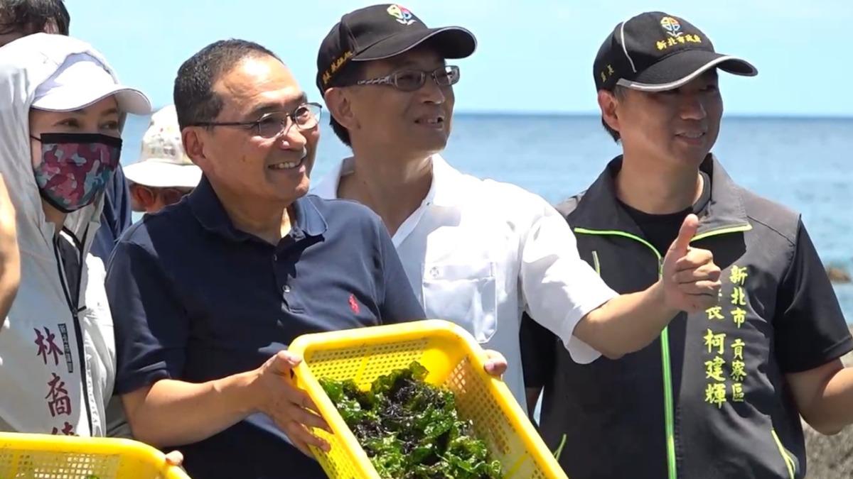 新北推動海洋復育,擴大海洋永續量能。(圖/TVBS)