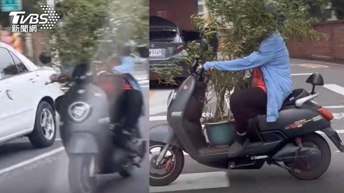 高雄阿姨載著大盆栽騎車，沒仔細看還以為是「樹在騎車」。（圖／Threads @tokyo__emma提供）
