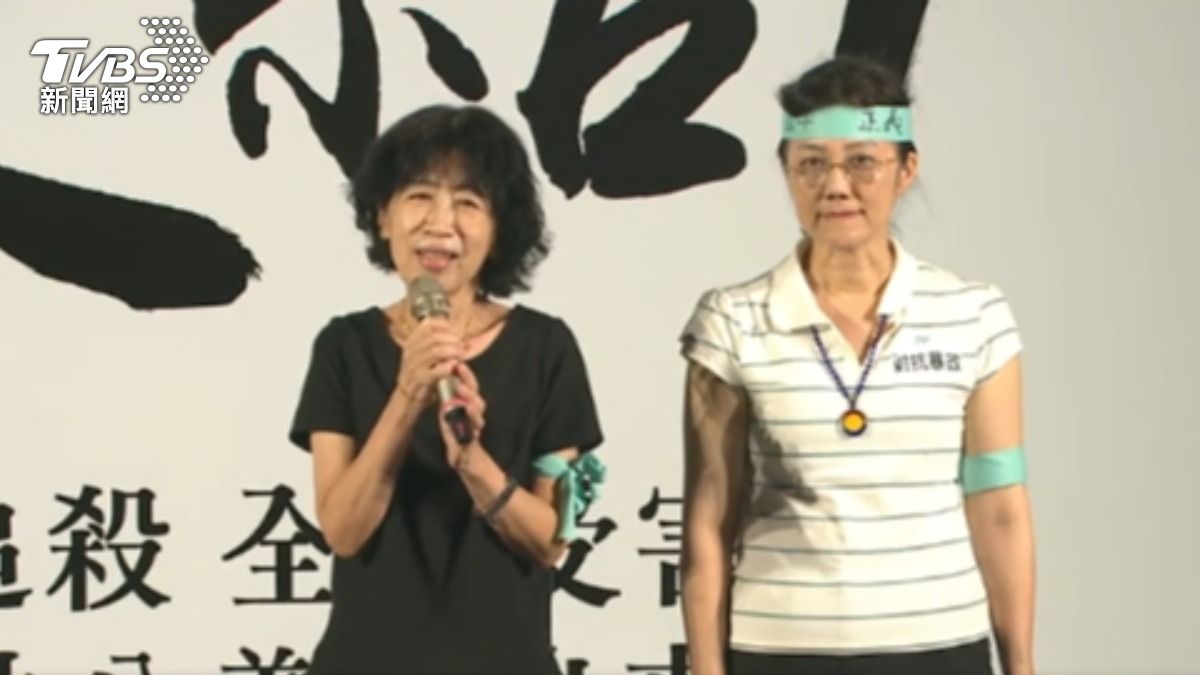 綠齊轟陳佩琪「甲章」甩鍋彭振聲 黃國昌:見縫插針。(圖/TVBS)