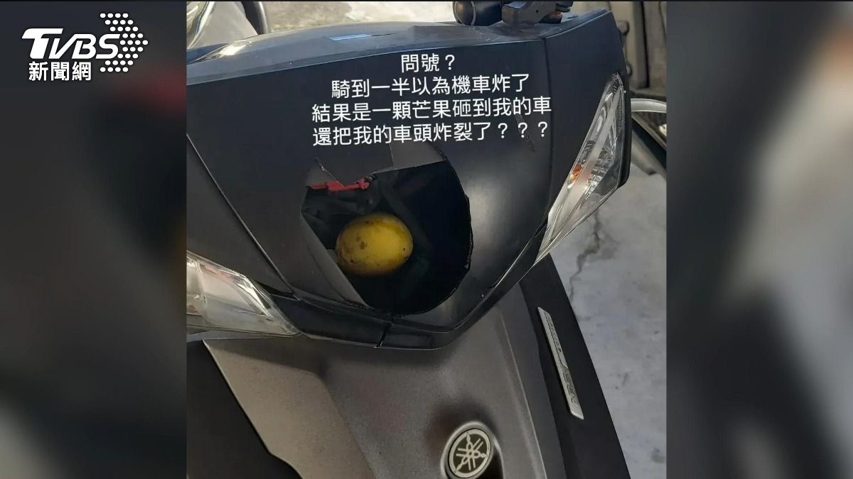 雲科大60年芒果樹 「在欉紅」砸破機車。(圖/民眾提供)