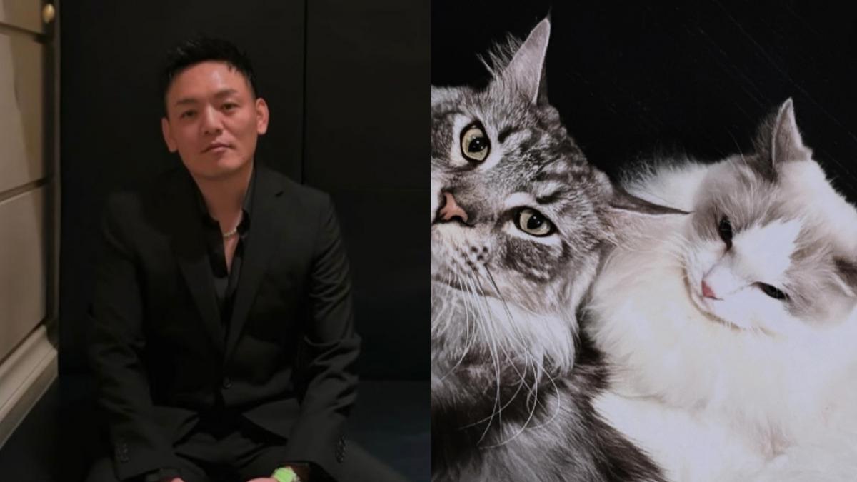 玖壹壹春風有喜了!當貓奴升格「三寶爸」 揭命名內幕網笑翻