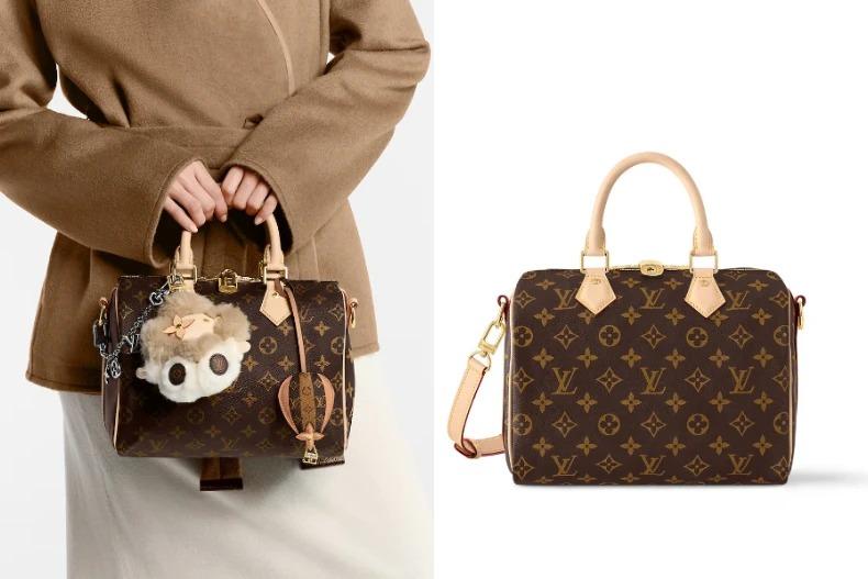 LOUIS VUITTON Speedy 25。（圖／翻攝自LOUIS VUITTON官網）