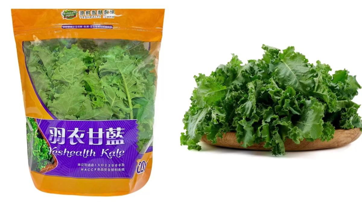 減脂神菜竟能抗癌!「羽衣甘藍」功效強大 3類人吃要當心