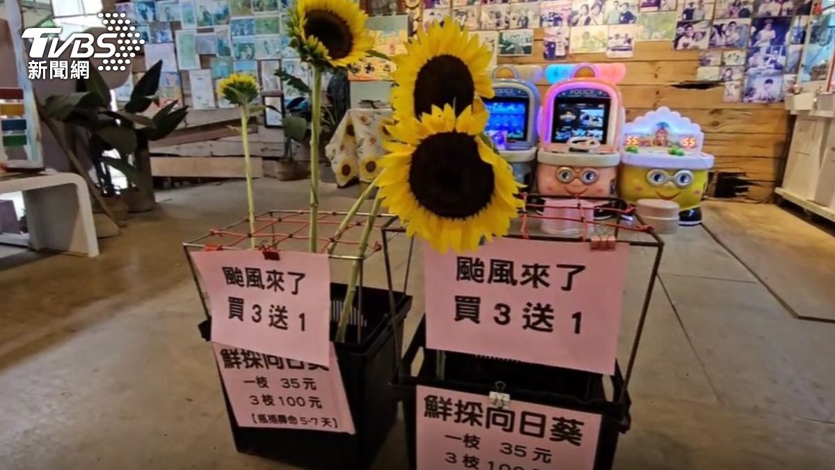 向日葵農場業者推出促銷活動。(圖/TVBS)