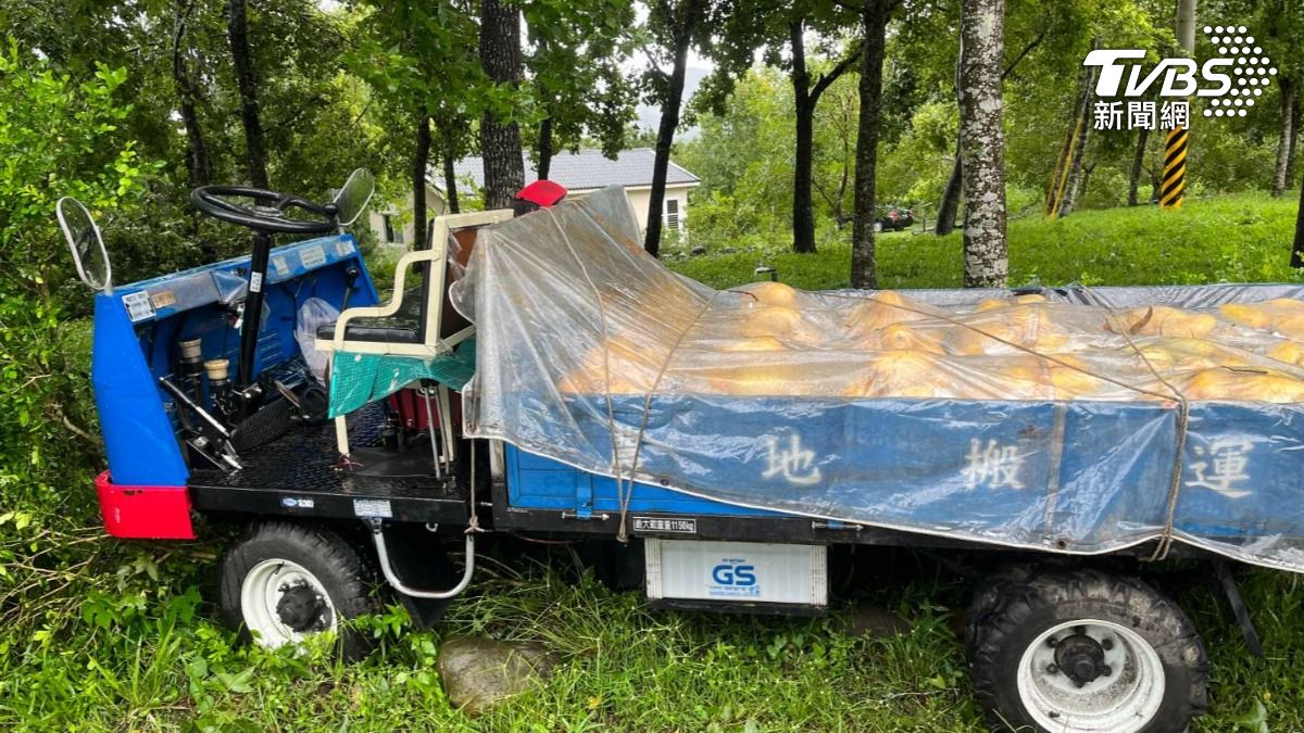 颱風奪2命!台南男「呼吸器沒電」斷魂 父子遭椰樹壓1死1傷