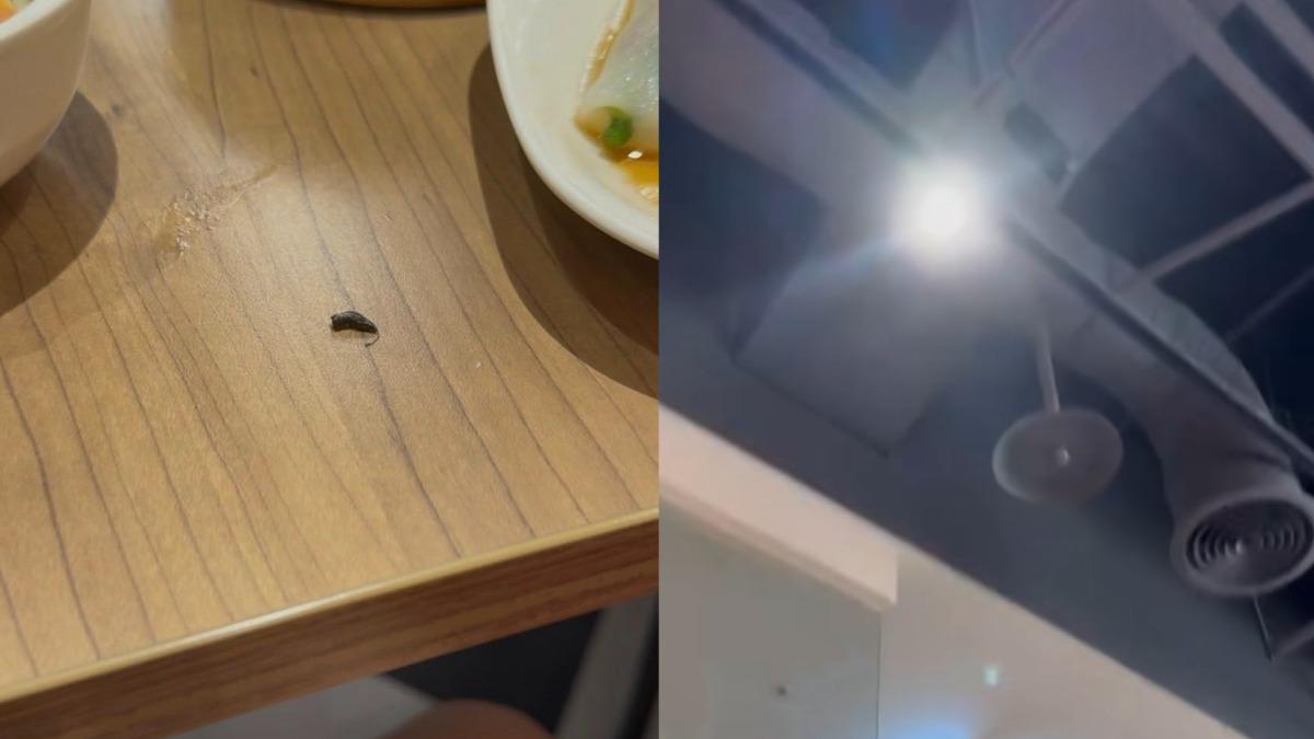 灌湯包吃一半「天降老鼠屎」！他嚇到嘔吐　百貨業者道歉了