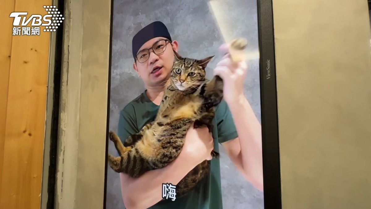 似錦堂販賣機設有「看貓」按鈕，只要按下，就能和超萌貓咪打招呼。（圖／TVBS）