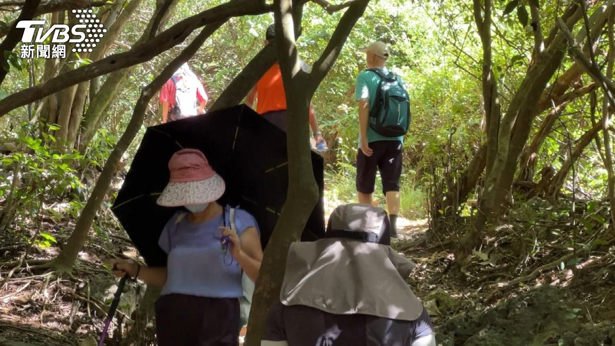 運動也沒瘦？醫師示警代謝恐變慢 (圖/TVBS)