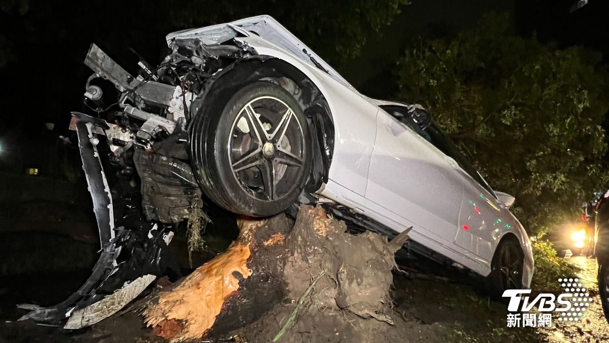 撞擊力道猛烈,肇事車將整根路樹撞斷。(圖/陳冠宇攝)