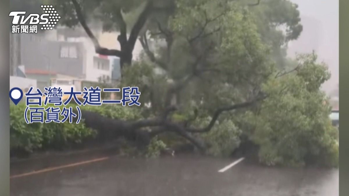 台灣大道二段上整棵路樹倒在內車道中。(圖/TVBS)
