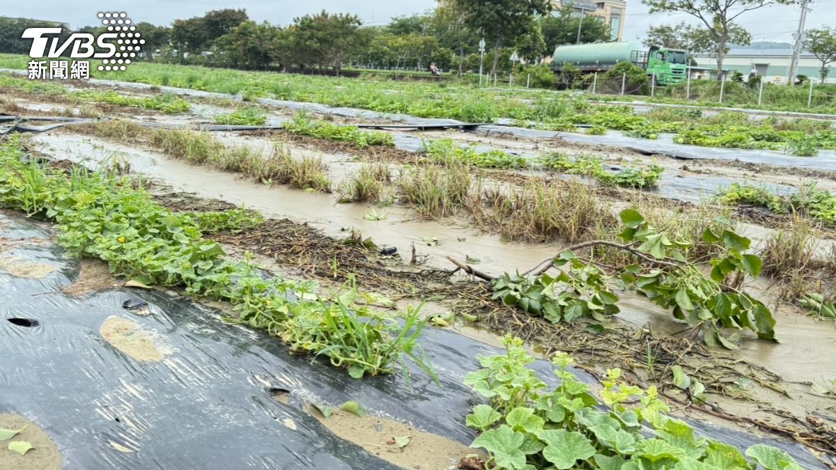 高雄農業損失已逾4,400萬元。(圖/TVBS)
