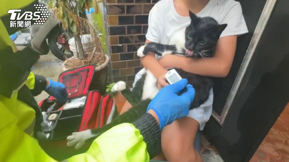 神明廳竄煙!基隆10歲女童獨自在家遇火警 抱貓逃生驚嚇落淚