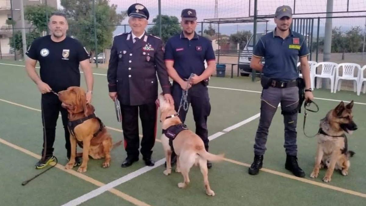嗅探犬布魯諾以前執勤的畫面。（圖／翻攝自Ｘ＠Arcangelo Caressa ）
