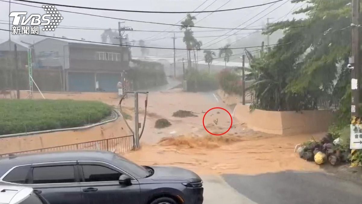 南投「滾滾黃流」沖走鴨群 民眾冒雨搶救愛車(圖/民眾提供)